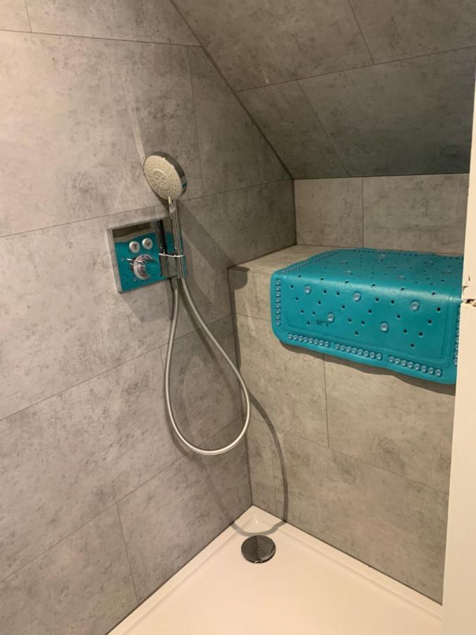 Huis Buizemont 赫拉尔兹贝亨 外观 照片